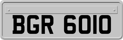 BGR6010