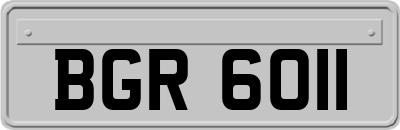 BGR6011