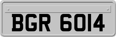 BGR6014