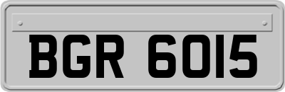 BGR6015