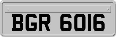 BGR6016