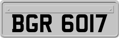 BGR6017