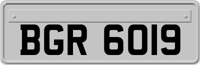 BGR6019