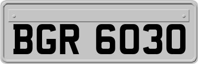 BGR6030