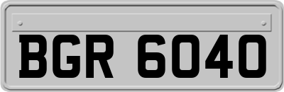 BGR6040