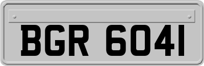 BGR6041