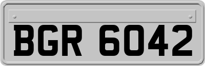 BGR6042