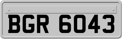 BGR6043