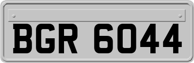 BGR6044