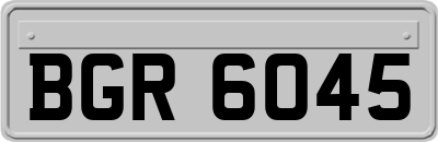 BGR6045
