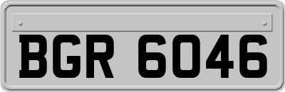 BGR6046