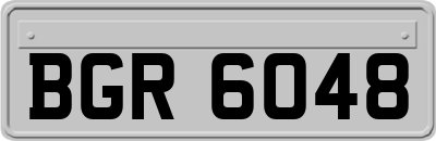 BGR6048