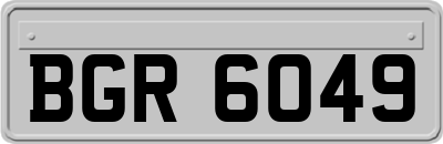 BGR6049