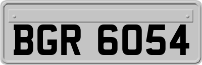 BGR6054