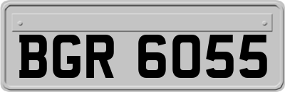 BGR6055