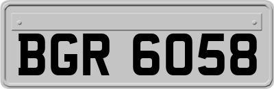 BGR6058
