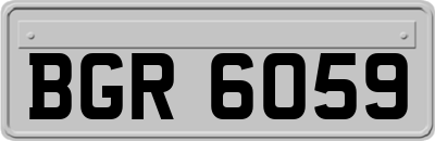 BGR6059