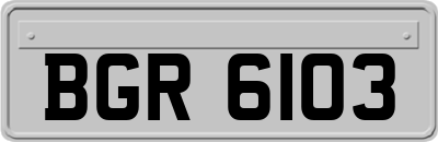 BGR6103