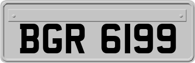 BGR6199