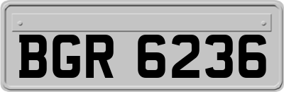 BGR6236