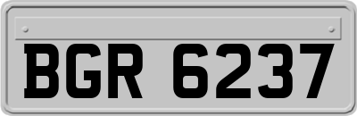 BGR6237