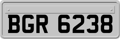 BGR6238