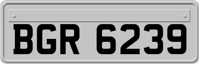 BGR6239