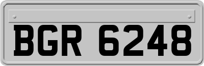 BGR6248