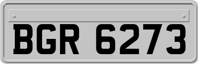 BGR6273
