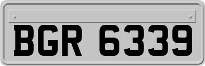 BGR6339