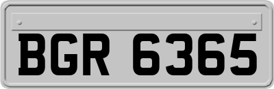 BGR6365