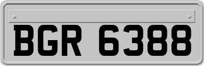 BGR6388