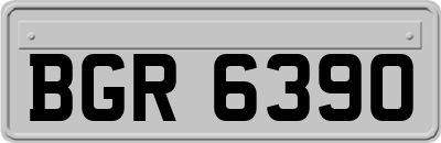 BGR6390
