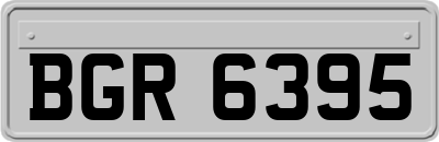 BGR6395