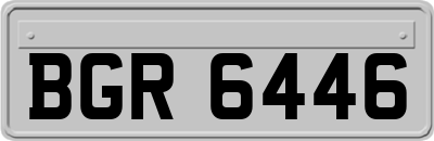 BGR6446