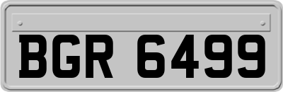 BGR6499