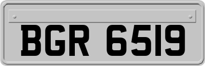 BGR6519