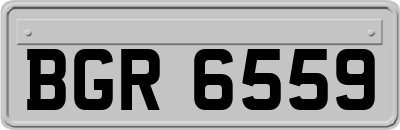 BGR6559