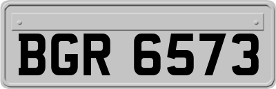 BGR6573