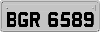 BGR6589