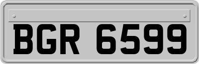 BGR6599