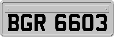 BGR6603