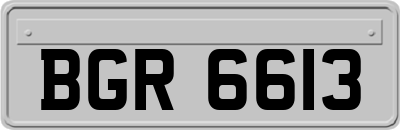 BGR6613