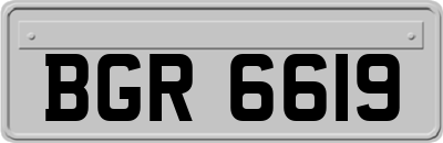 BGR6619