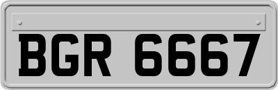 BGR6667