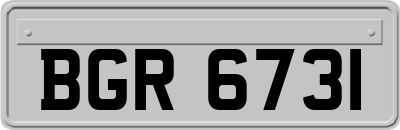 BGR6731