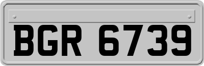 BGR6739