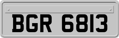 BGR6813