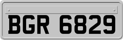 BGR6829