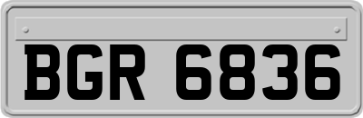 BGR6836